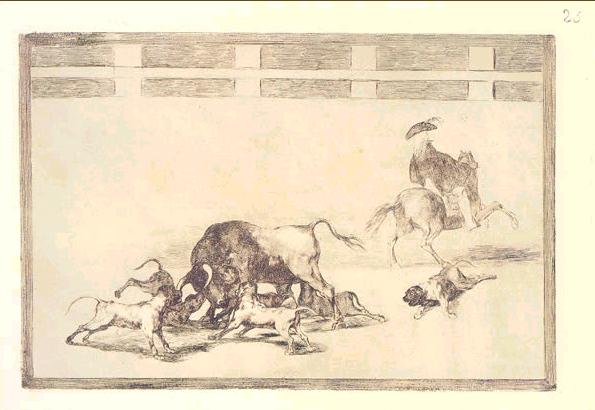 Grabado de Francisco de Goya titulado "Echan perros al toro"