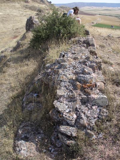 Detalle del muro de defensa