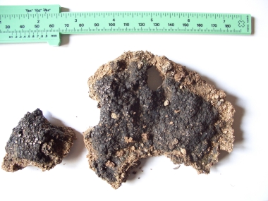 Dos fragmentos de un material que aparenta ser granos de sílice en una matriz de asfalto