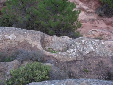 Estructura de forma semicircular excavada en un alero de roca arenisca, justo al borde de la roca donde se presenta un desnivel