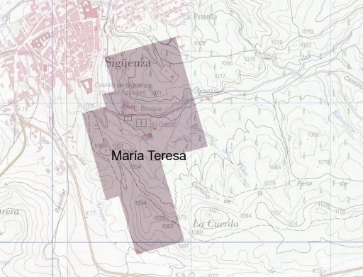 Demarcación de la mina María Teresa, en Sigüenza