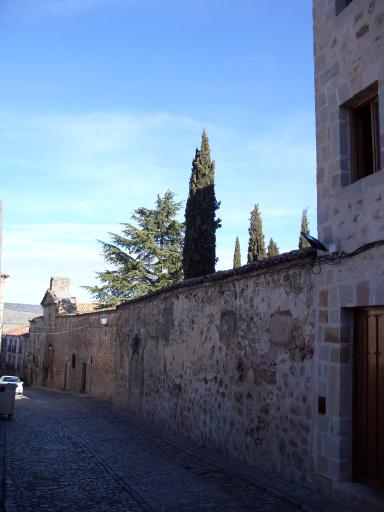 Tapia antigua fachada del convento de Santiago el Zebedeo, en la actualidad, vista desde su extremo
      superior. Se aprecia la alta tapia que rodea el solar del antiguo convento, con diversos árboles
      de gran porte destacando sobre la misma