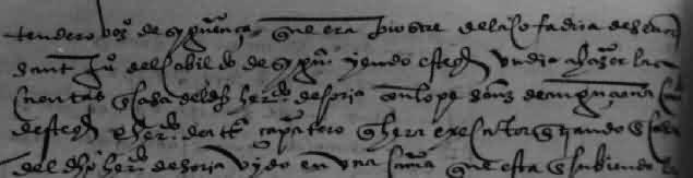 Written inquisitorial testimony against Hernando de Soria/Testimonio inquisitorial escrito contra Hernando de Soria